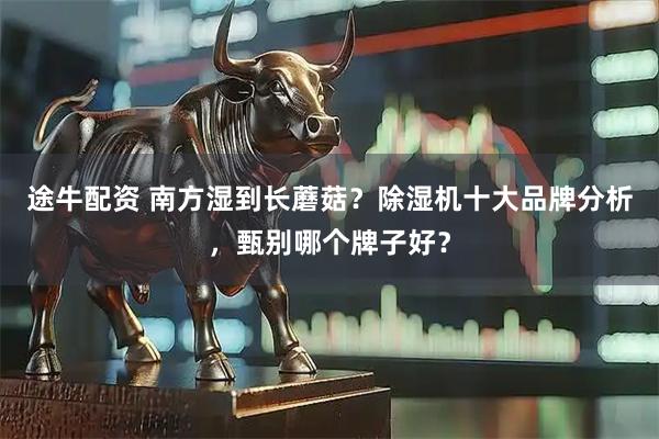 途牛配资 南方湿到长蘑菇？除湿机十大品牌分析，甄别哪个牌子好？