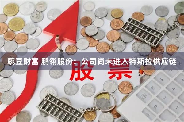 豌豆财富 鹏翎股份：公司尚未进入特斯拉供应链
