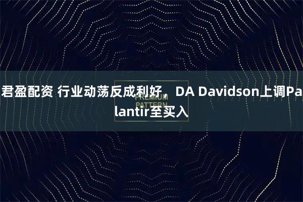 君盈配资 行业动荡反成利好，DA Davidson上调Palantir至买入